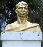 Calarcá