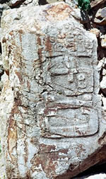 Estela 14