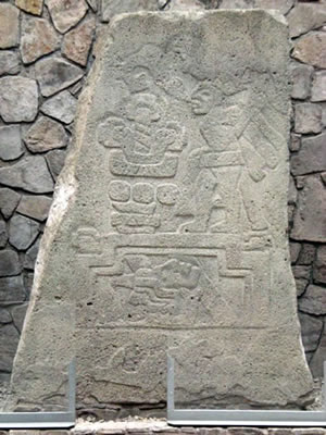Estela 8