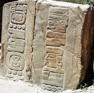 Estelas 12 y 13