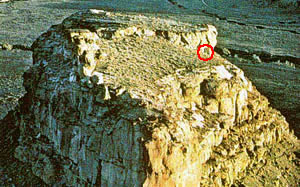 Daga del Sol
