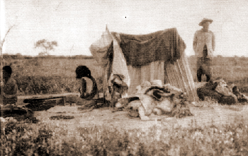 Viudas pilagá